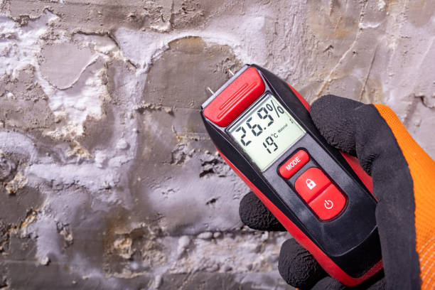Best Certified Mold Removal  in Whitfield, PA