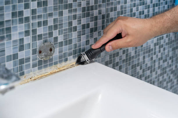 Best Mold Damage Repair  in Whitfield, PA